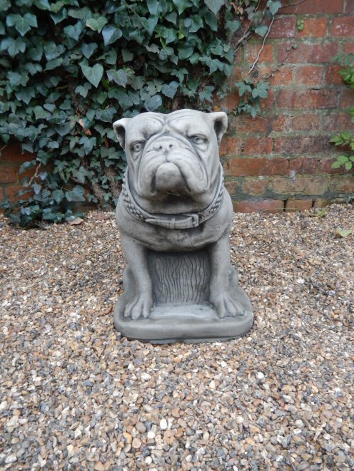 KA168 Large Bull Dog